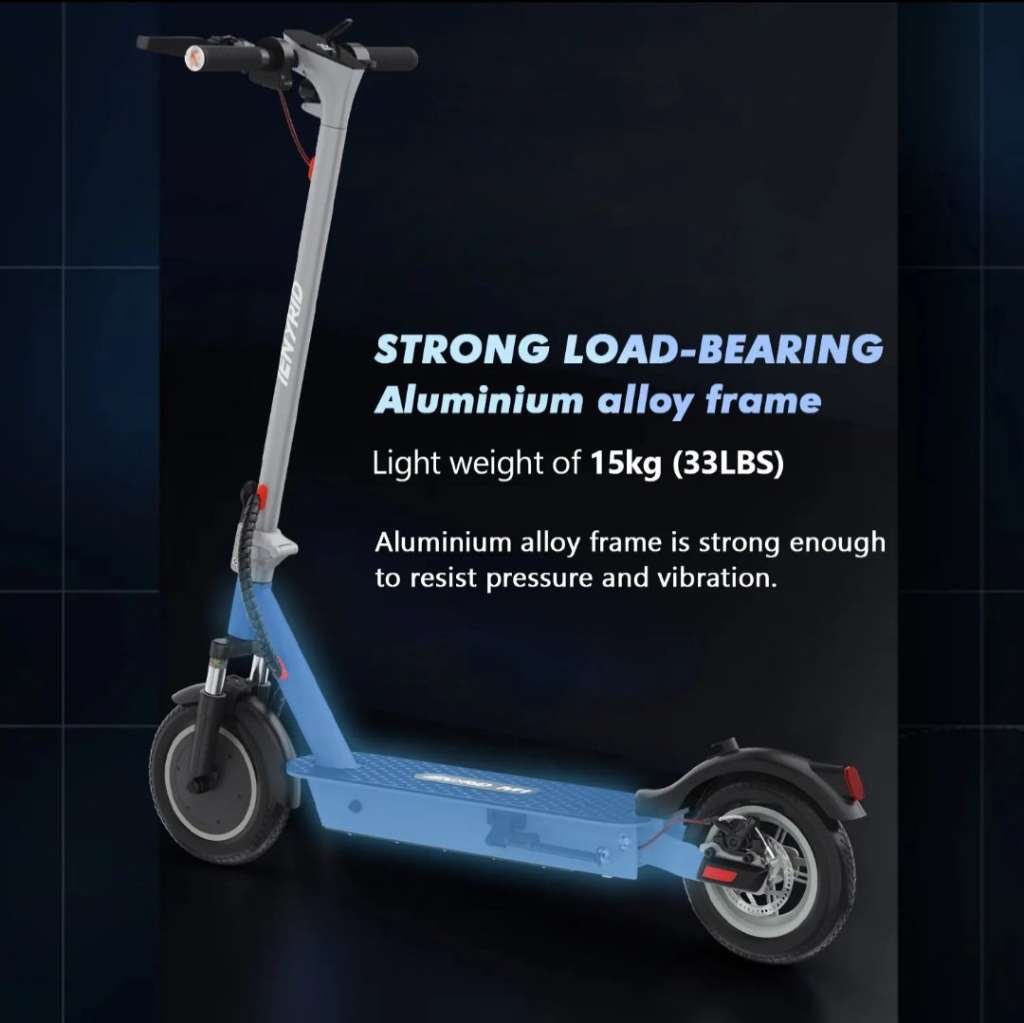 AKTION Scooter mit Blinker inklusive Tasche 500 Watt Motor und 12AH Batterie