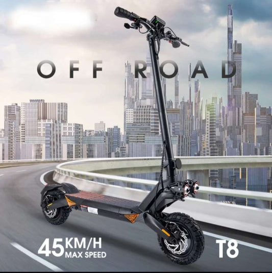 AKTION T8 Scooter Roller 800 Watt 20 AH Batterie